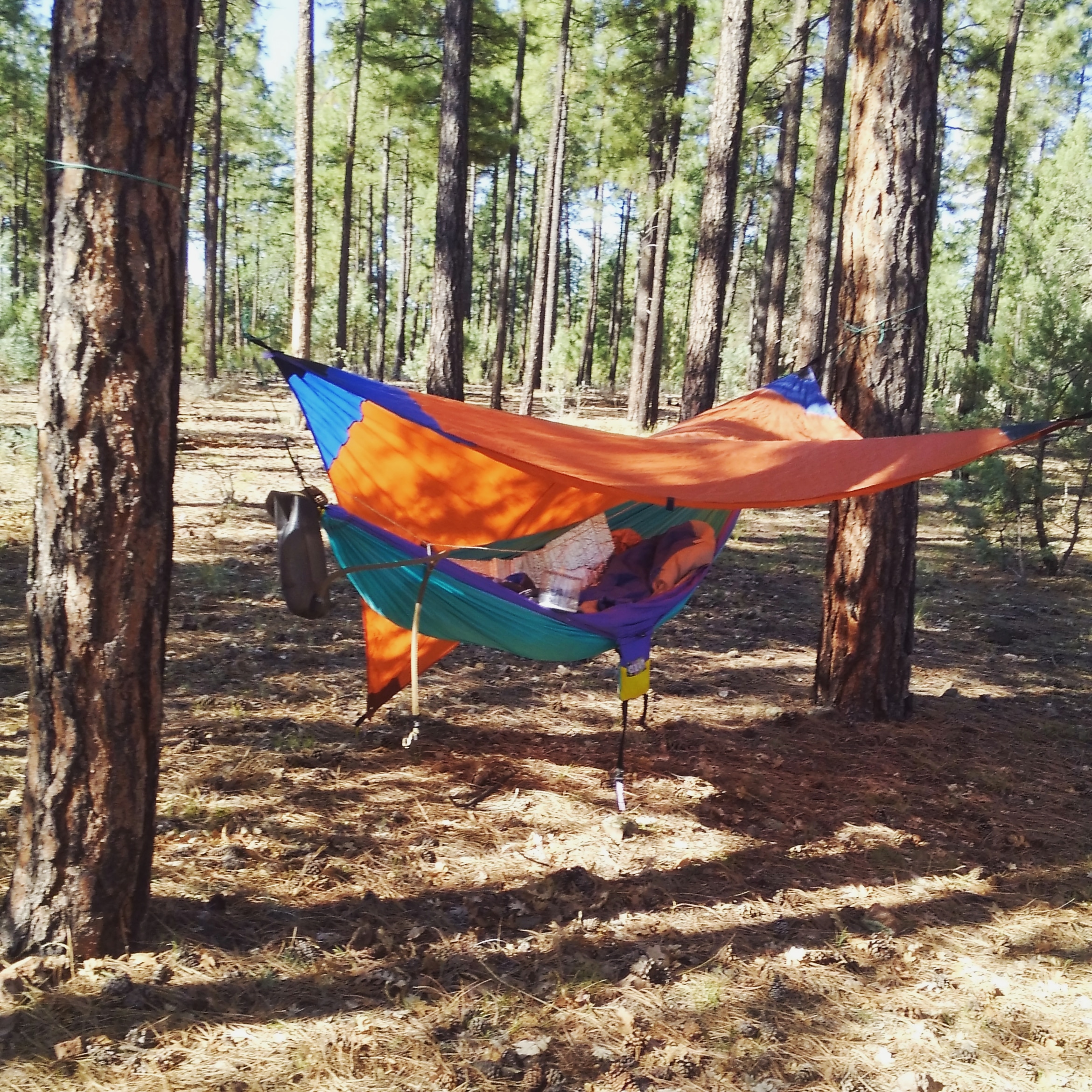 IMG_20180722_111621_729