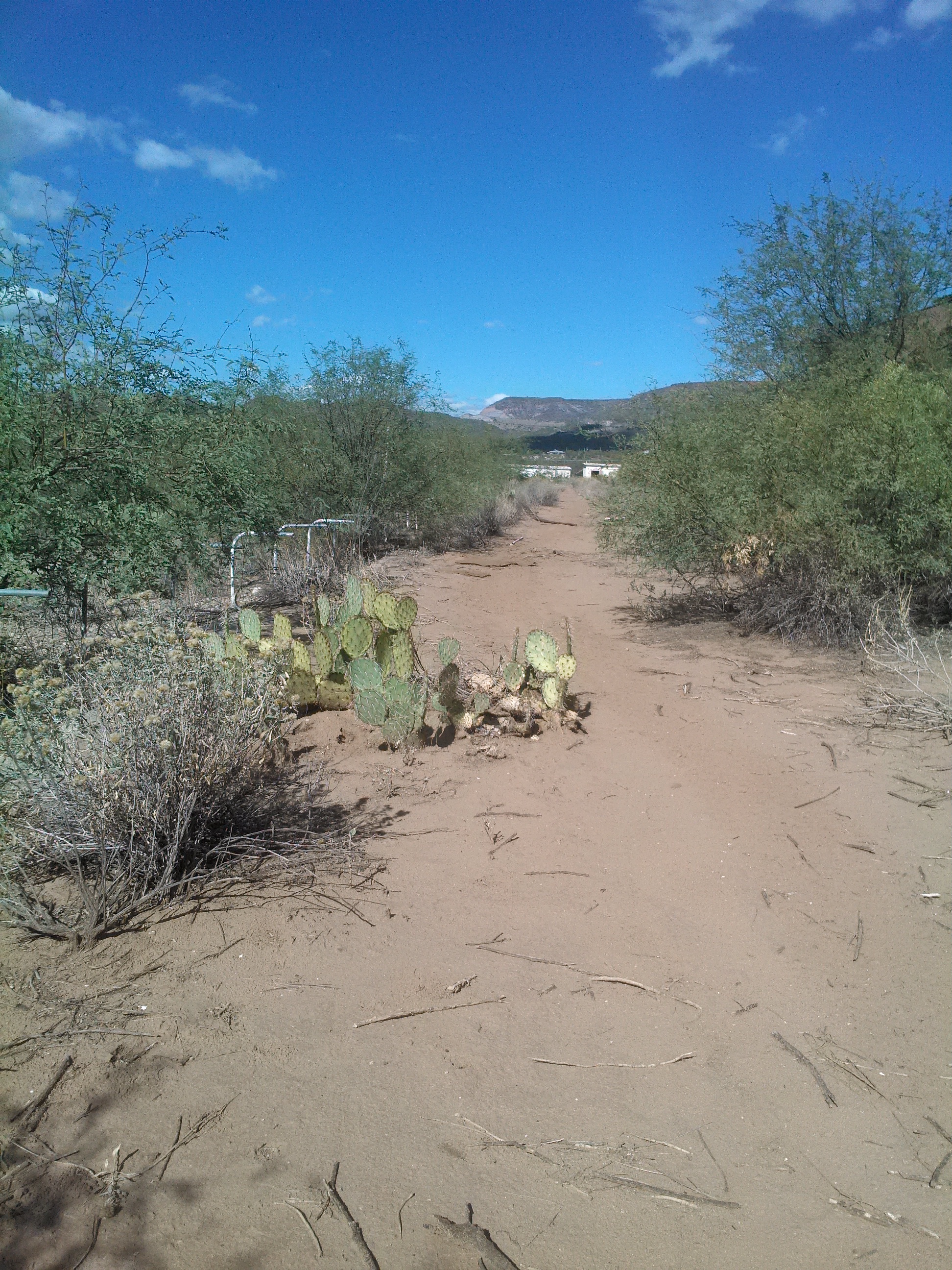 BCDT track itself.JPG