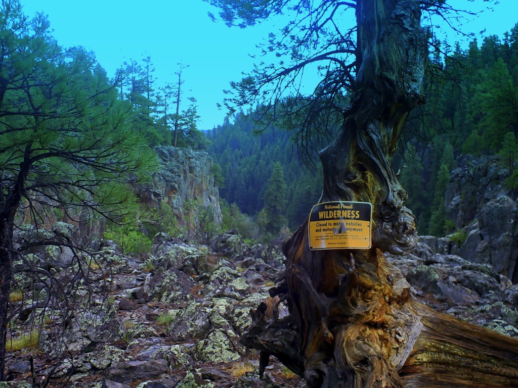 This is a ten year old photo doctored with ten year old free-ware. Don't judge. 